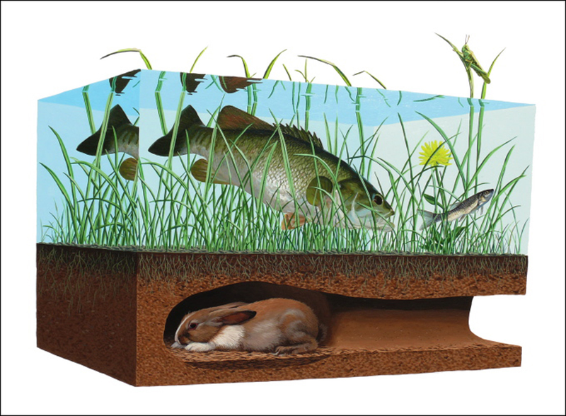 Illustration for article titled Josh Keyes: A Juxtaposition Of Car And Nature